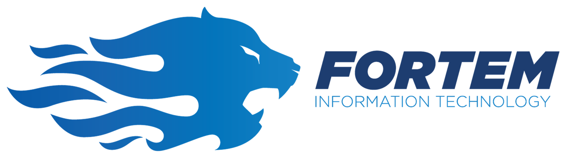 Fortem Information Technology